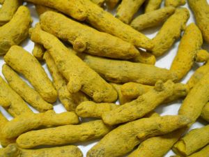 Fresh Dry Turmeric Finger