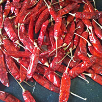 Guntur Red Chilli