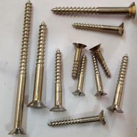 Stainless Steel Shaved Head Wood Screws