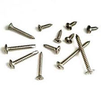 Steel Screw