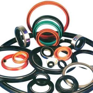 Rajhans Oil Seal