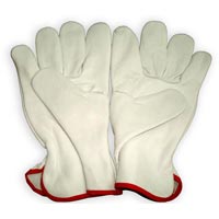 Driving Gloves (S-006)