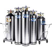 Cryogenic Gas Cylinders Cryogenic Gas Cylinders