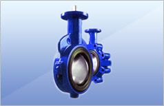 Butterfly Valve