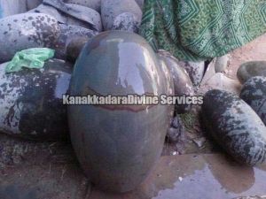 24 Inch Narmada Shiva Lingam