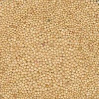 Amaranth Seed