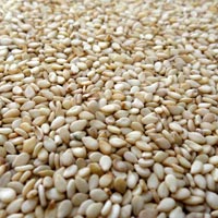 Natural Sesame Seeds