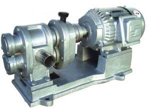 Stainless Steel Pumps