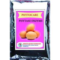 Phytocare-poultry Feed Supplement with Phytase Enzyme