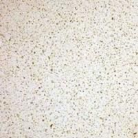 terrazzo tile