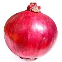 Dehydrated Onion