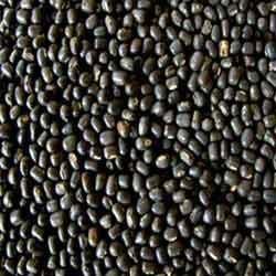 Black Lentil