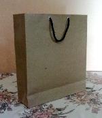 brown kraft paper carry bags