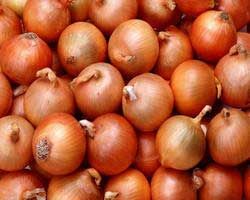 Fresh Brown Onion