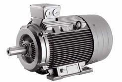 SIEMENS ELECTRIC MOTORS