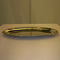 Stainless Steel Fish Tray