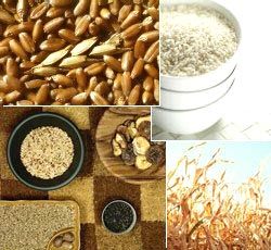 Food Grains