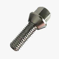 Wheel Bolt