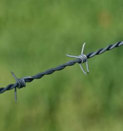 Barbed Wire Fencing