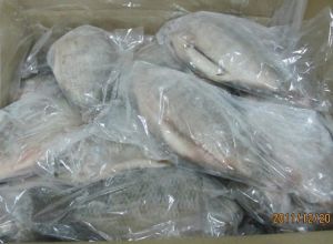 Frozen Black Tilapia Fillets