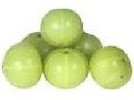 Amla