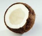 Coconut