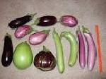 Eggplants