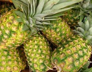 Fresh Pineapple