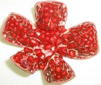 Fresh pomegranate