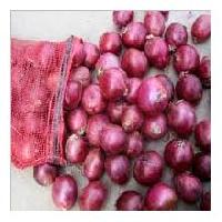 Red Onion-02