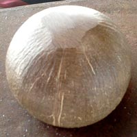 Polished Coconut Shell