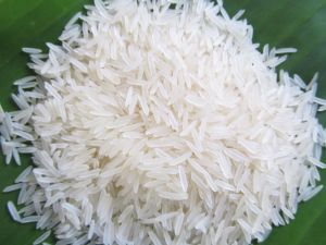 1121 Sella Rice