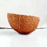 Coconut Shell