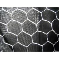 Hexagonal Wire Mesh