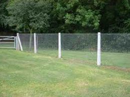 Wire Mesh Fence