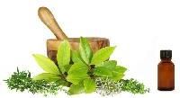 Ayurvedic Herbs