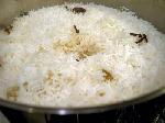 Indian Basmati Rice 1121 Pusa Sella