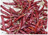 Indian Red Chilli
