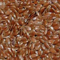 Flax Seeds/ Lin Seed