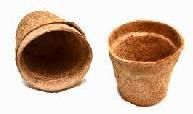 Coir Pots