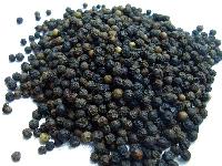 Black Pepper Seed