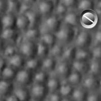 Pinned Surface Extra Large