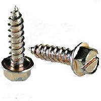 Hex Head Screws