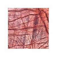 Bidasar Red Marble Stone