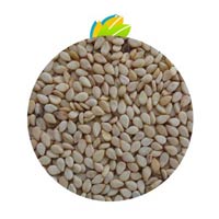 Natural Sesame Seeds