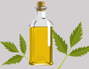 Neem Oil