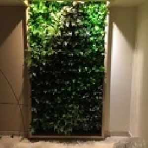 Bio Wall Artificial Vertical Garden