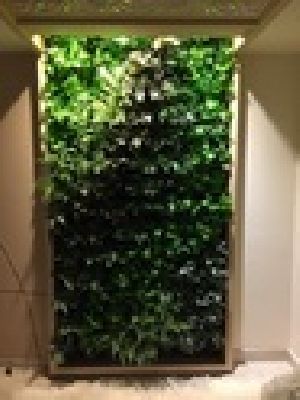 Bio Wall Artificial Vertical Garden