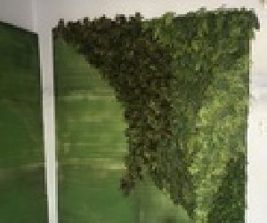 Reception Artificial Green Wall