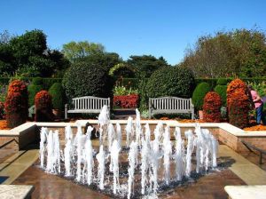 Foam Jet Fountains